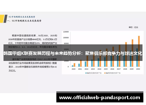 韩国甲组K联赛发展历程与未来趋势分析：聚焦俱乐部竞争力与球迷文化