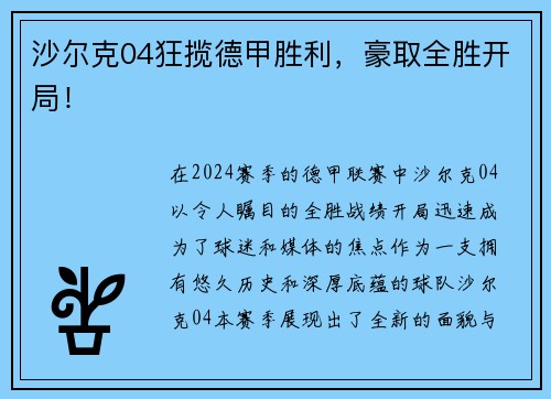 沙尔克04狂揽德甲胜利，豪取全胜开局！